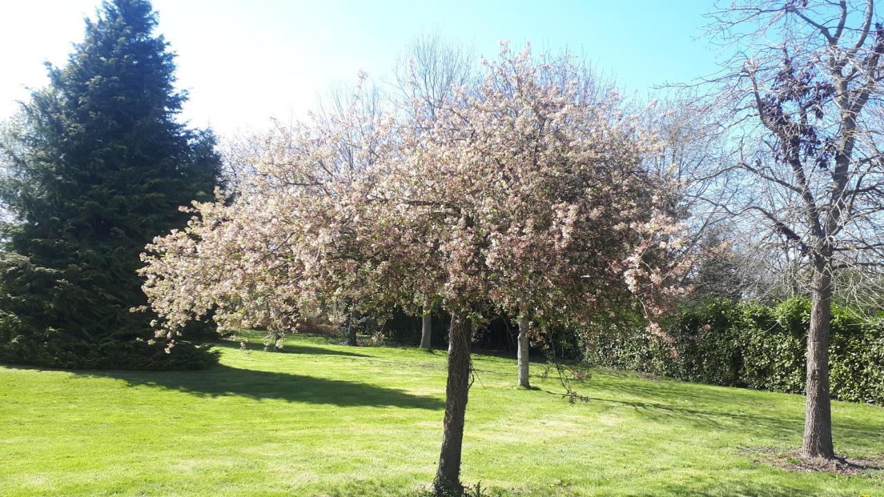 Gite De Bon Air Sens-de-Bretagne Luaran gambar